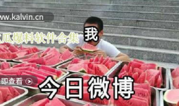 最新吃瓜爆料视频大全集,揭秘娱乐圈幕后真相