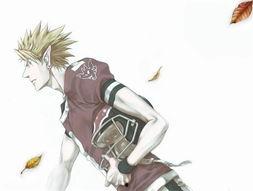 动漫男主,动漫男主的传奇征程